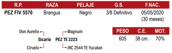 LOTE 05