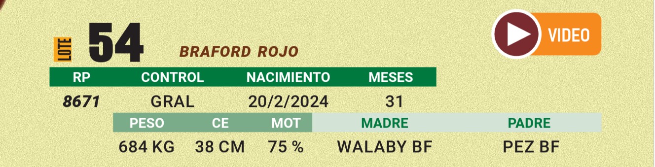 LOTE 54 - BRAFORD