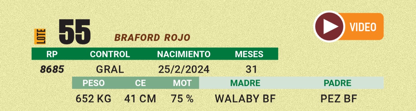 LOTE 55 - BRAFORD