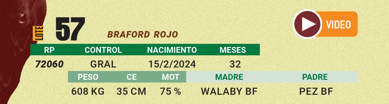 LOTE 57 - BRAFORD
