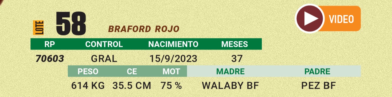 LOTE 58 - BRAFORD