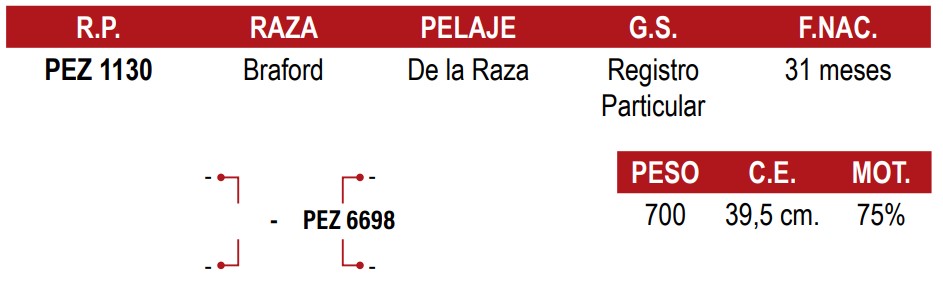 LOTE 11