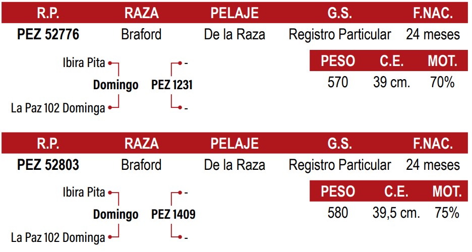 LOTE 14