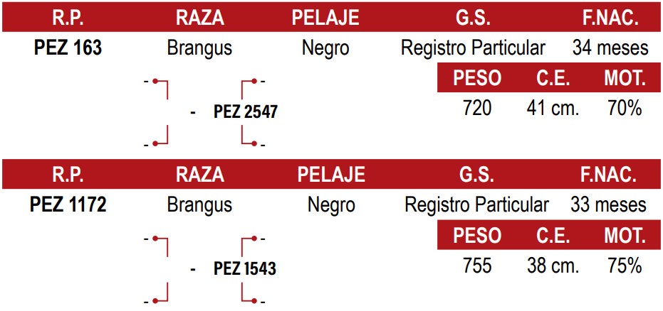 LOTE 16