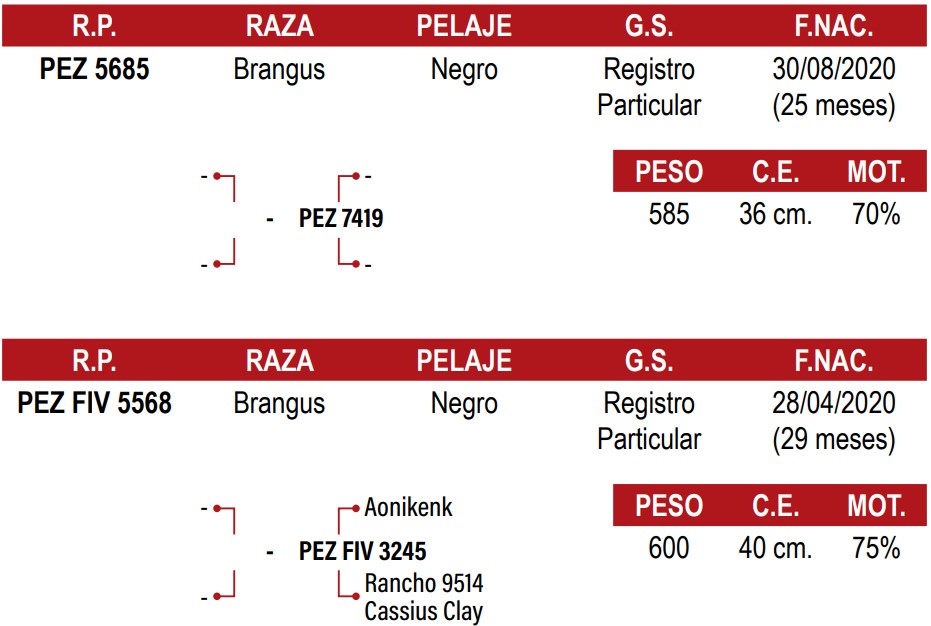 LOTE 20