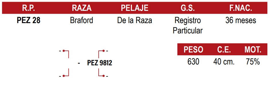 LOTE 21