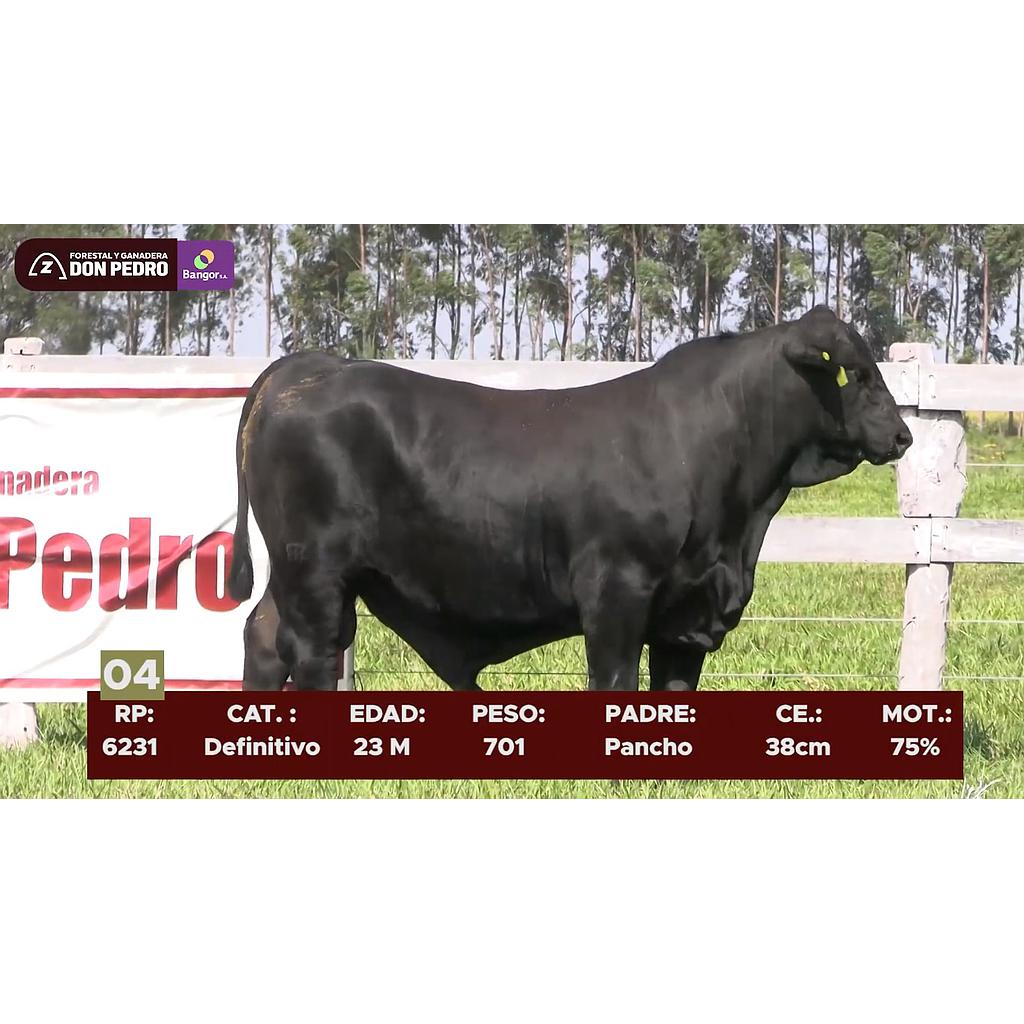 LOTE 04