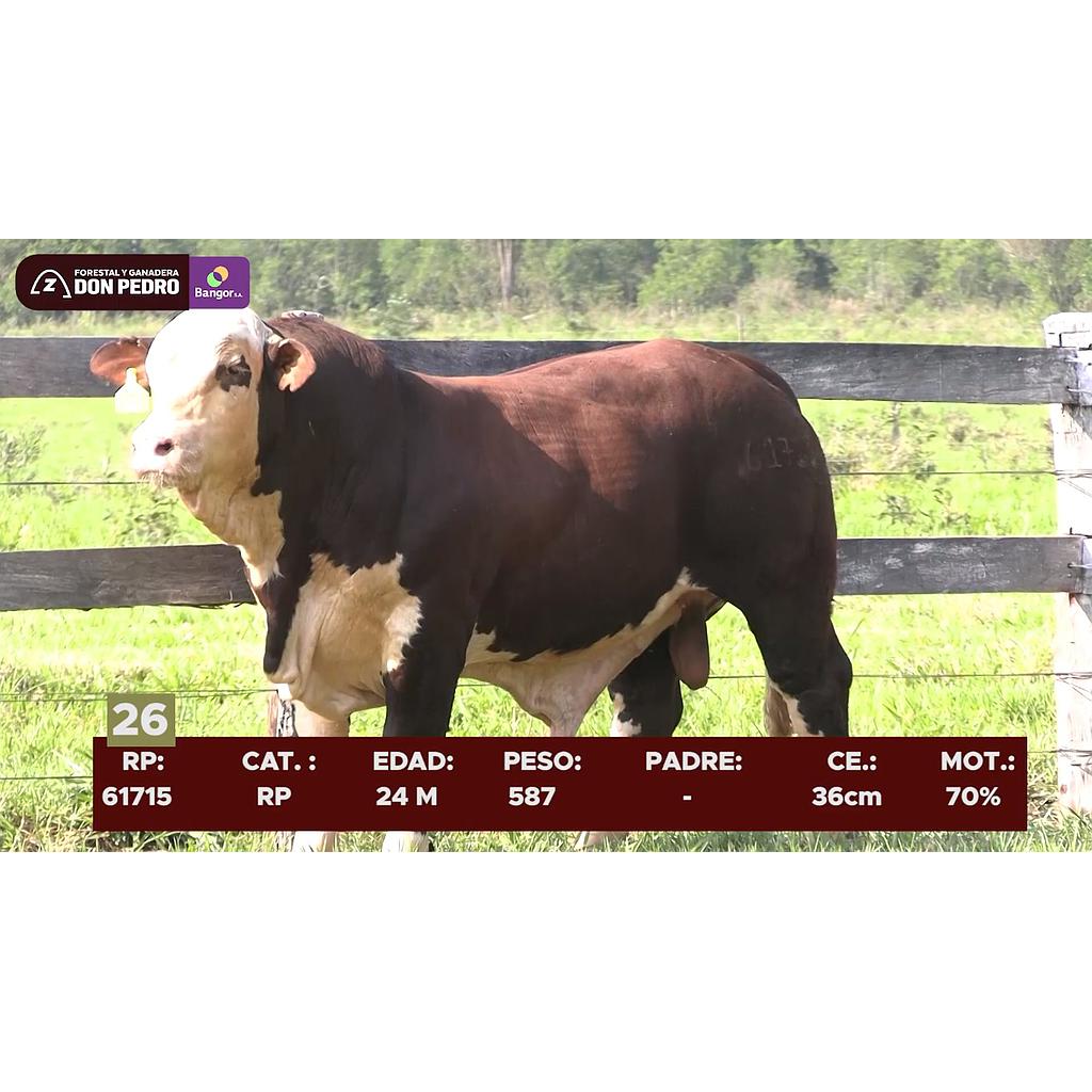 LOTE 26