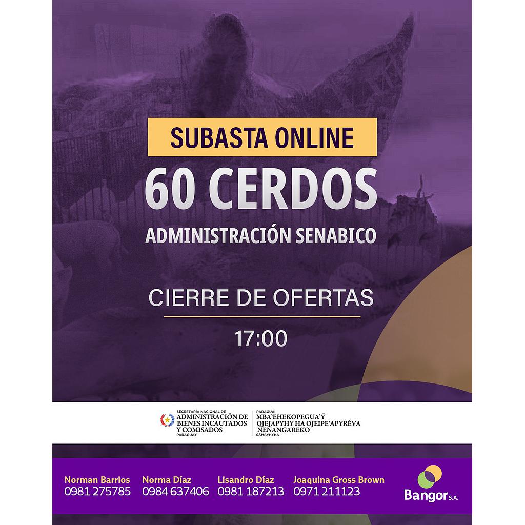 LOTE C - CERDOS