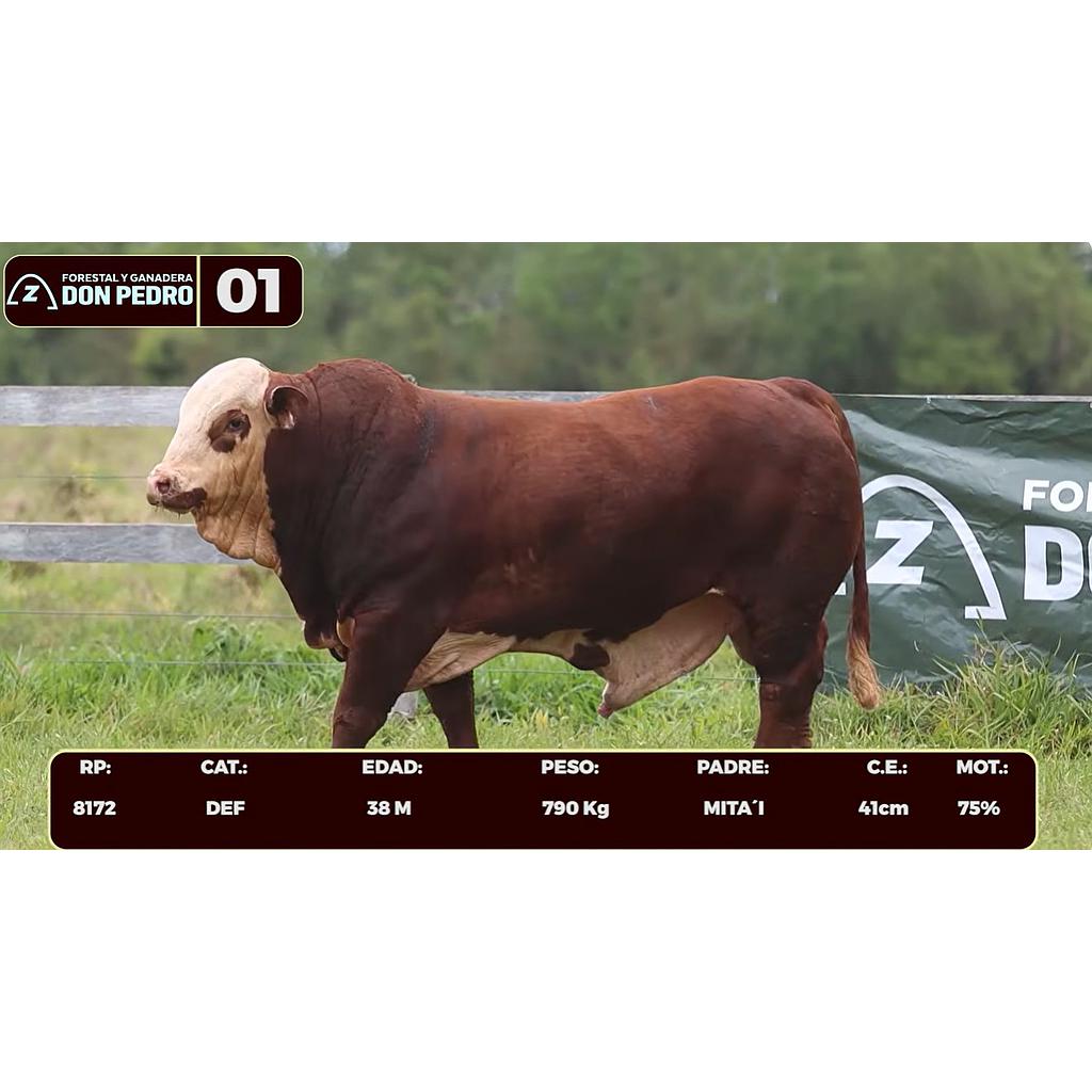 LOTE 01