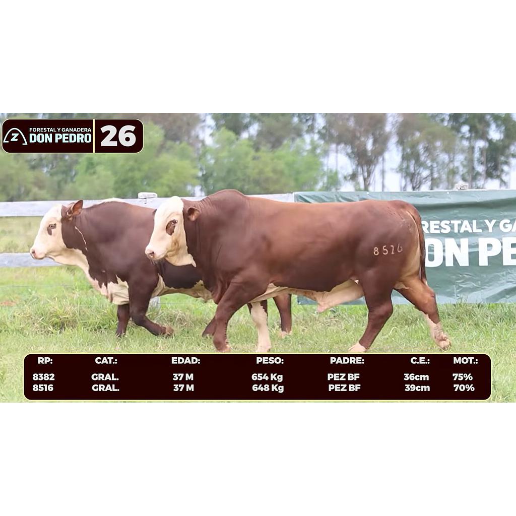 LOTE 26 - BRAFORD