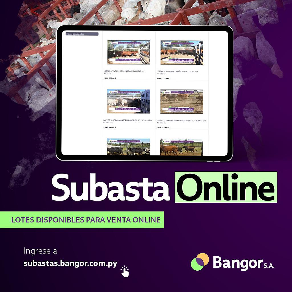 Tienda Bangor Subastas