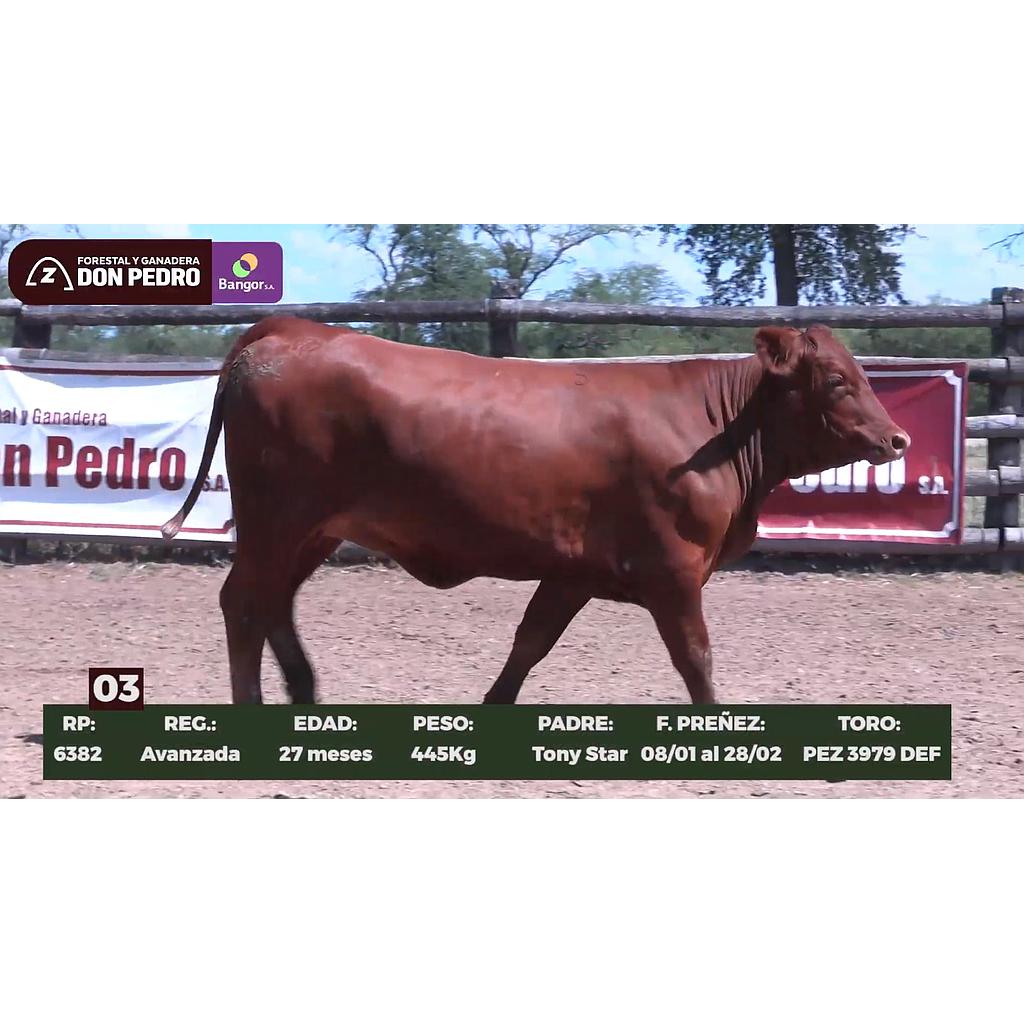 Auction For LOTE 03 // VAQUILLA