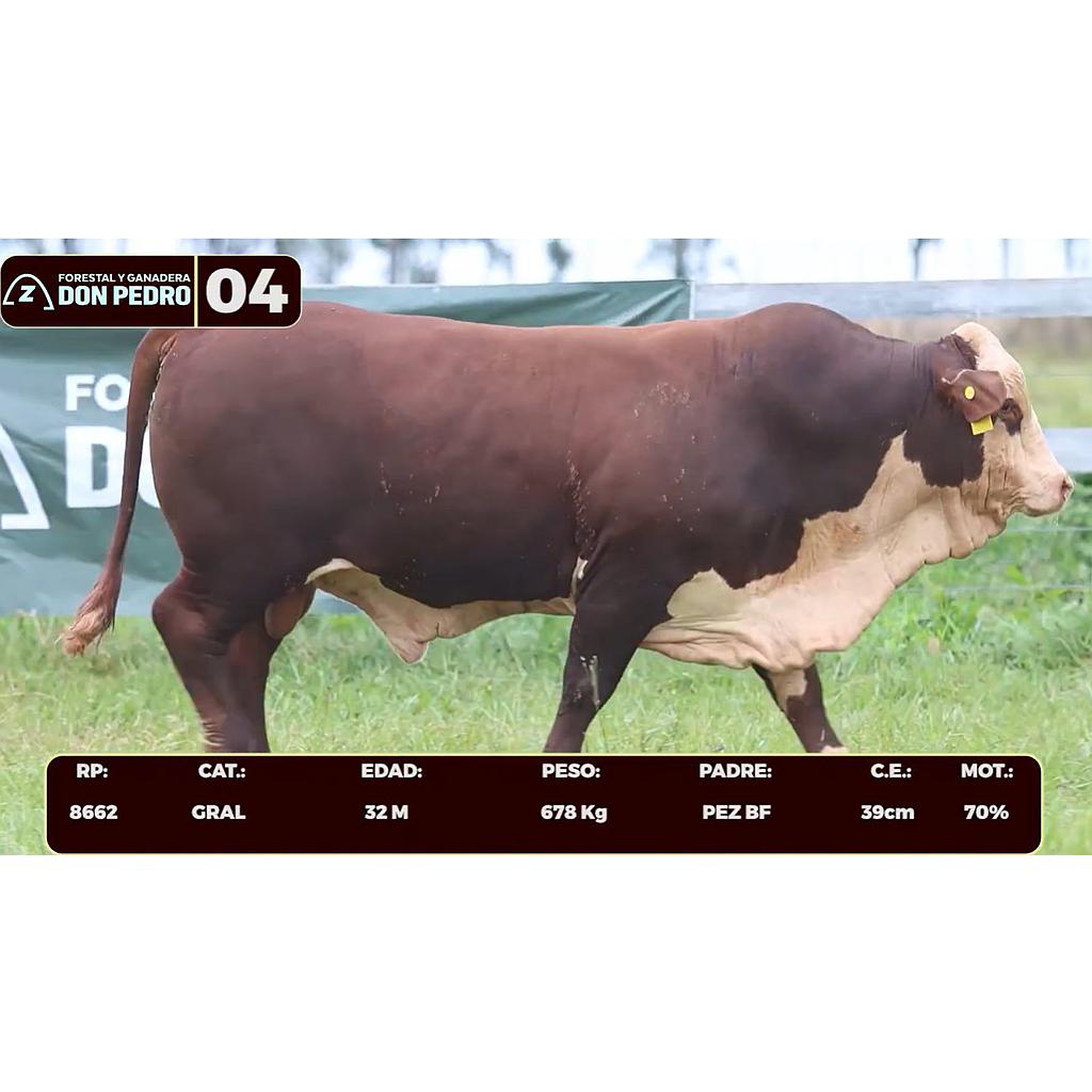 Auction For LOTE 04 - BRAFORD