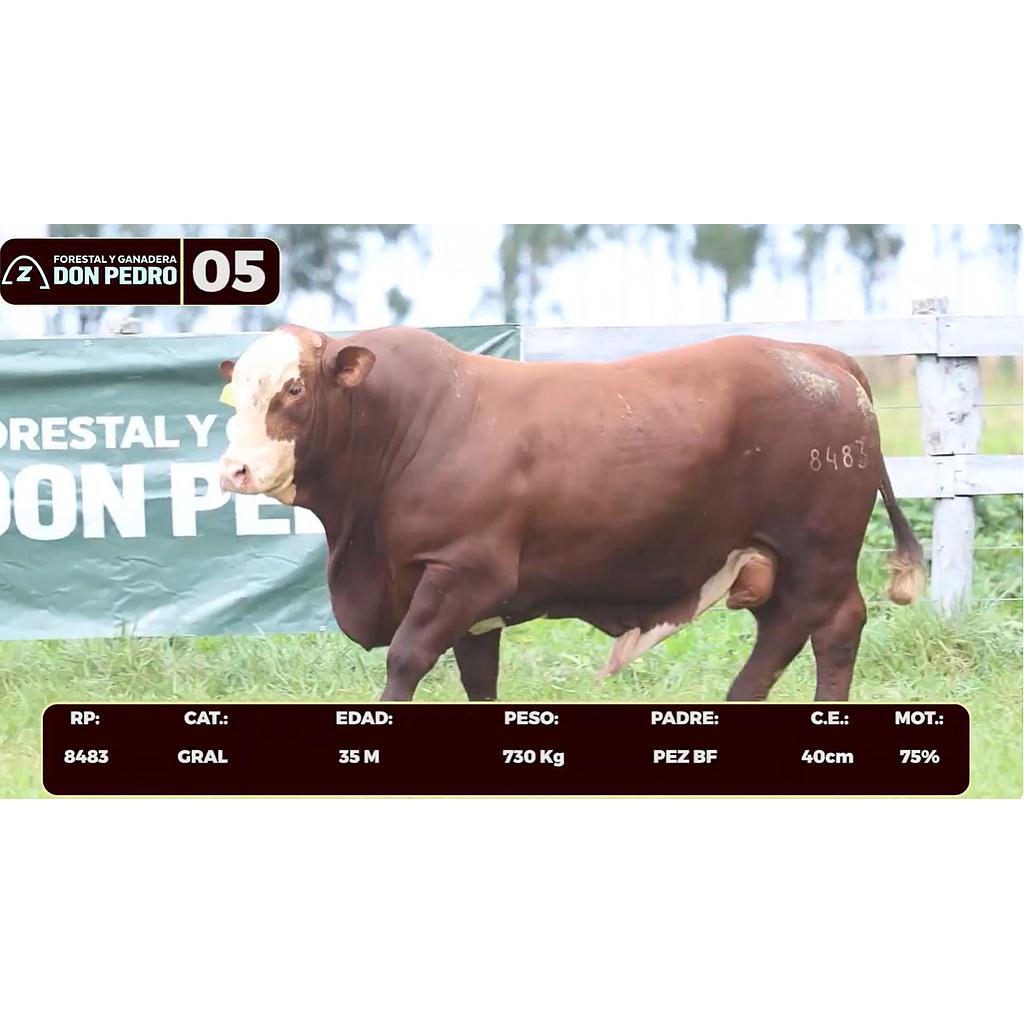 Auction For LOTE 05 - BRAFORD