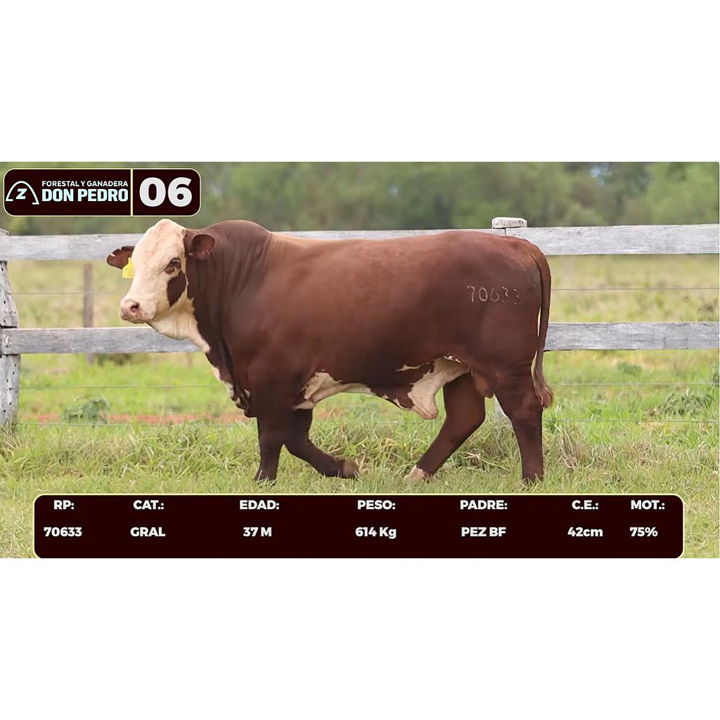 Auction For LOTE 06 - BRAFORD
