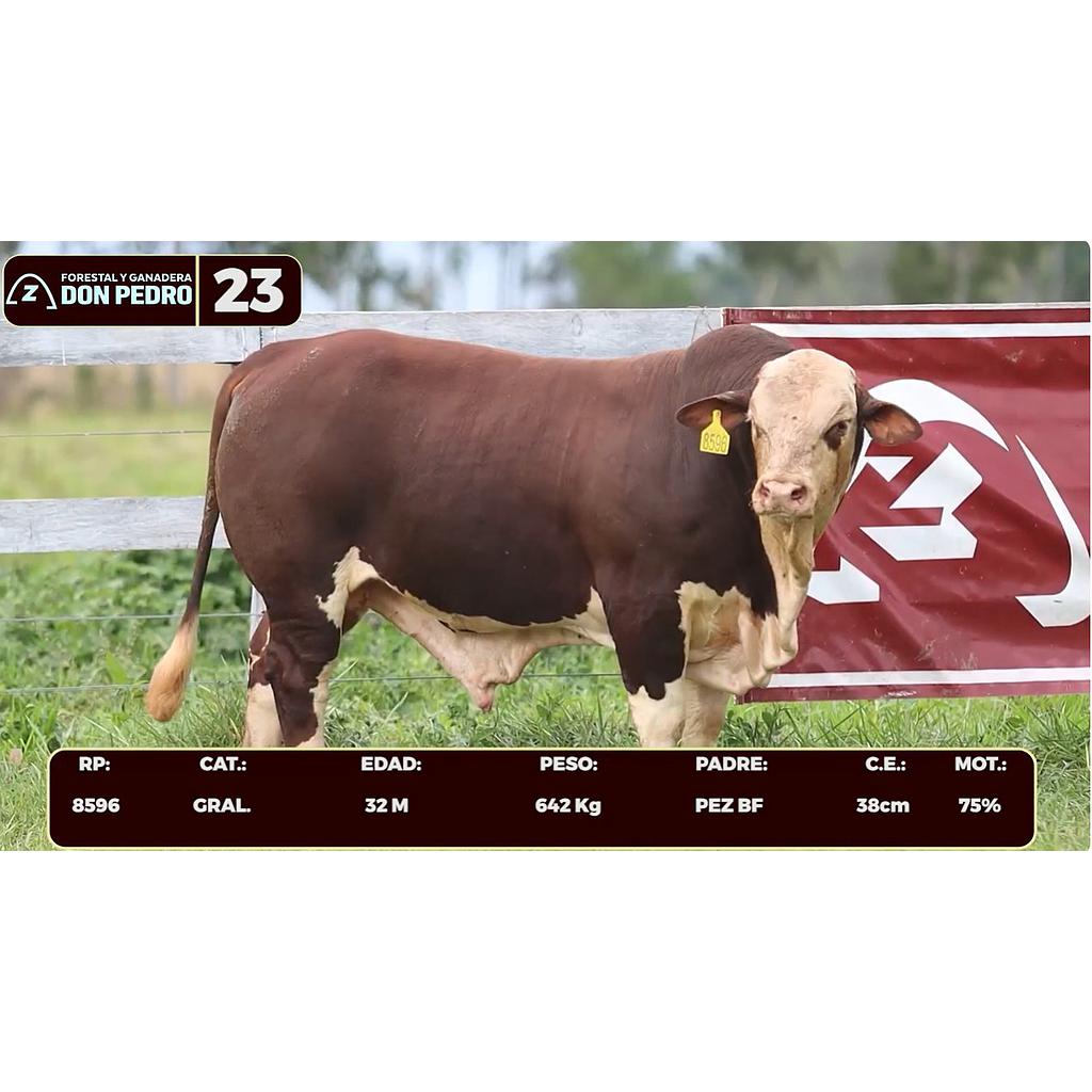 Auction For LOTE 23 - BRAFORD