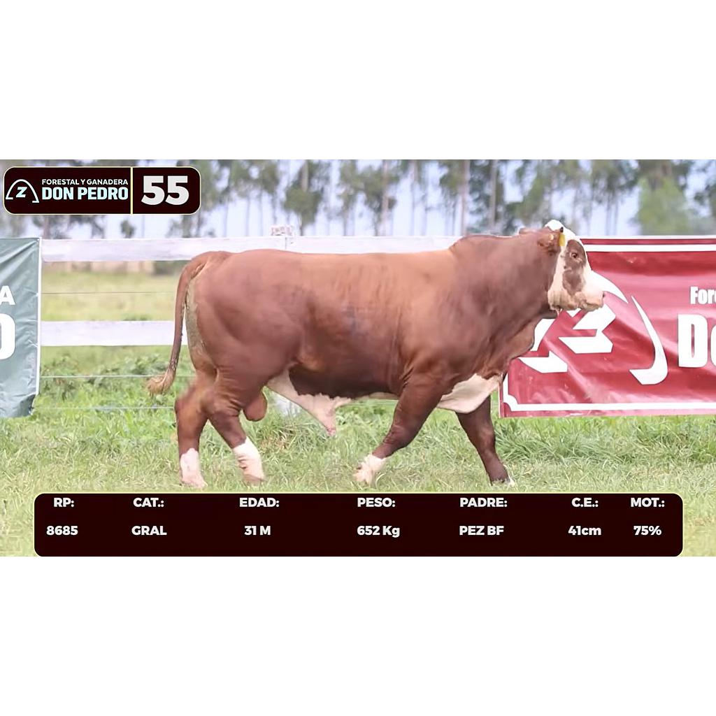 Auction For LOTE 55 - BRAFORD