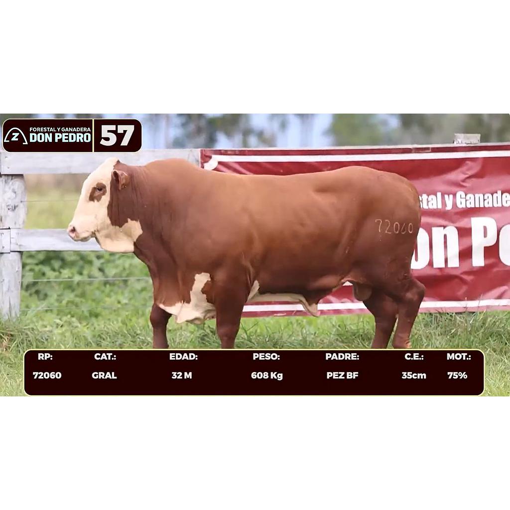 Auction For LOTE 57 - BRAFORD