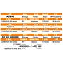 LOTE 15 // VAQUILLAS BRANGUS