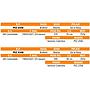 LOTE 26 // VAQUILLAS BRAFORD