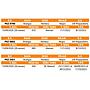 LOTE 57 // VAQUILLAS BRANGUS