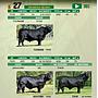 LOTE 27 - TORO BRANGUS NEGRO