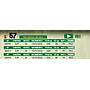 LOTE 57 - TOROS BRANGUS NEGROS