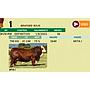 LOTE 01