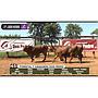 LOTE 65 // VAQUILLAS BRANGUS