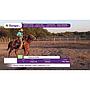 LOTE 09 // EQUINO