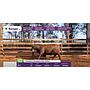 LOTE 12 - VACA PREÑADA