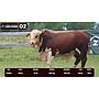 LOTE 02 - BRAFORD