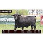 LOTE 15 - BRANGUS