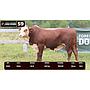 LOTE 59 - BRAFORD